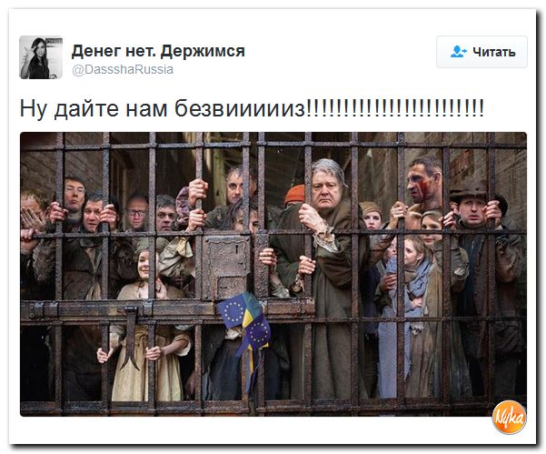 "Мыздобулы" в картинках. Смешных и не очень... 21-11-2016 "Мыздобулы" в картинках. Смешных и не очень... 21-11-2016