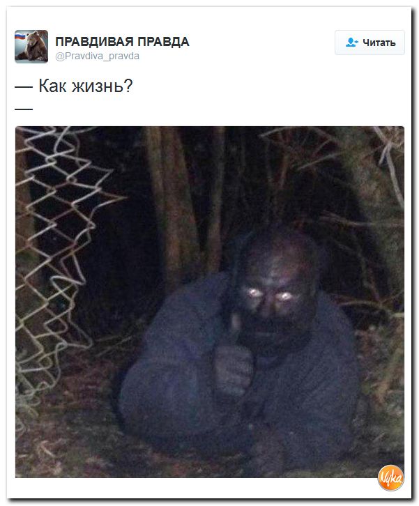 "Мыздобулы" в картинках. Смешных и не очень... 21-11-2016 "Мыздобулы" в картинках. Смешных и не очень... 21-11-2016