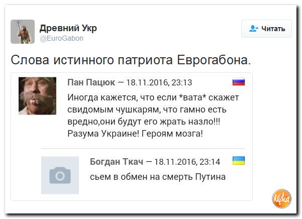 "Мыздобулы" в картинках. Смешных и не очень... 21-11-2016 "Мыздобулы" в картинках. Смешных и не очень... 21-11-2016