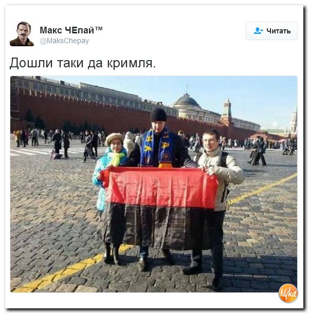 "Мыздобулы" в картинках. Смешных и не очень... 21-11-2016 "Мыздобулы" в картинках. Смешных и не очень... 21-11-2016