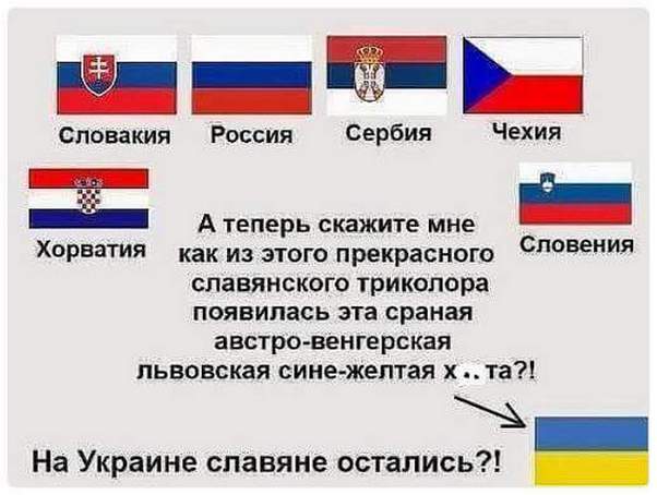 "Мыздобулы" в картинках. Смешных и не очень... 23-11-2016 "Мыздобулы" в картинках. Смешных и не очень... 23-11-2016