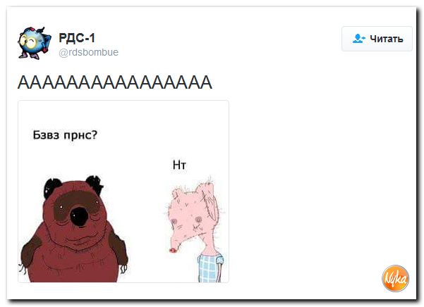 "Мыздобулы" в картинках. Смешных и не очень... 25-11-2016 "Мыздобулы" в картинках. Смешных и не очень... 25-11-2016