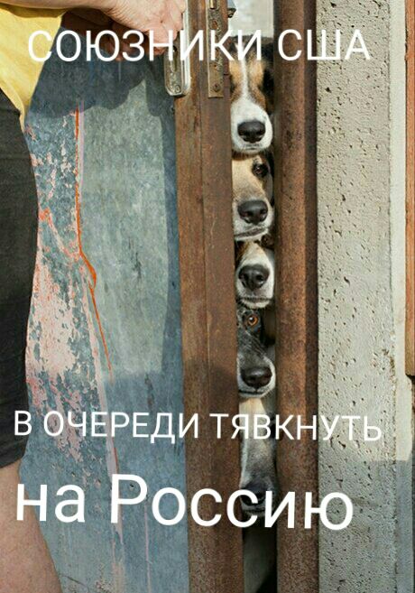 "Мыздобулы" в картинках. Смешных и не очень... 25-11-2016 "Мыздобулы" в картинках. Смешных и не очень... 25-11-2016