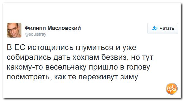 "Мыздобулы" в картинках. Смешных и не очень... 25-11-2016 "Мыздобулы" в картинках. Смешных и не очень... 25-11-2016