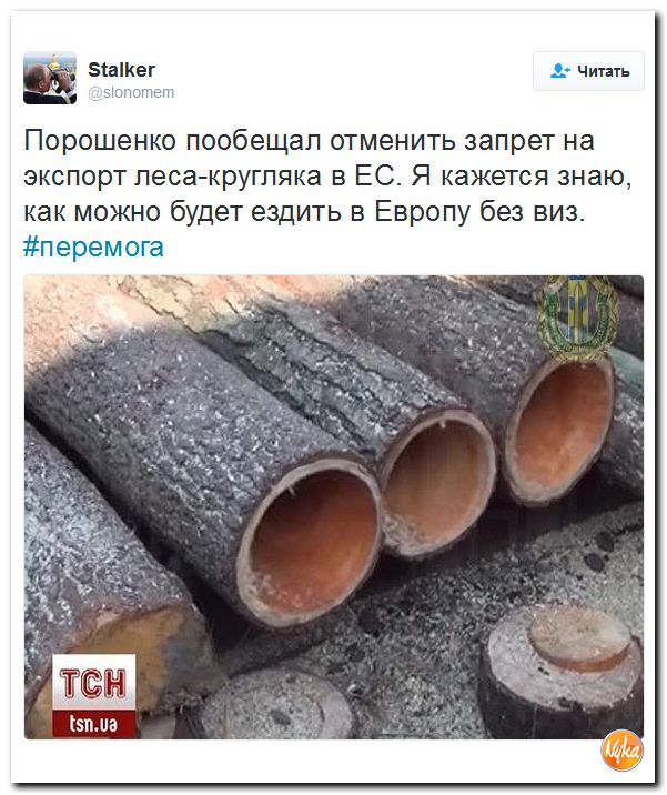 "Мыздобулы" в картинках. Смешных и не очень... 25-11-2016 "Мыздобулы" в картинках. Смешных и не очень... 25-11-2016