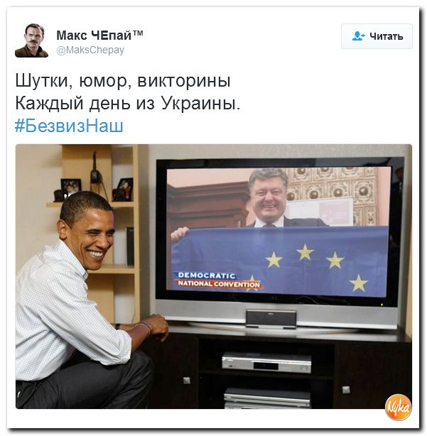 "Мыздобулы" в картинках. Смешных и не очень... 25-11-2016 "Мыздобулы" в картинках. Смешных и не очень... 25-11-2016