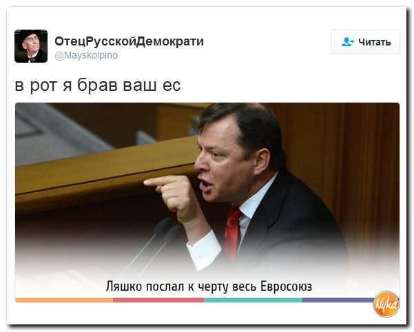 "Мыздобулы" в картинках. Смешных и не очень... 25-11-2016 "Мыздобулы" в картинках. Смешных и не очень... 25-11-2016