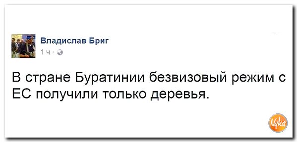 "Мыздобулы" в картинках. Смешных и не очень... 25-11-2016 "Мыздобулы" в картинках. Смешных и не очень... 25-11-2016