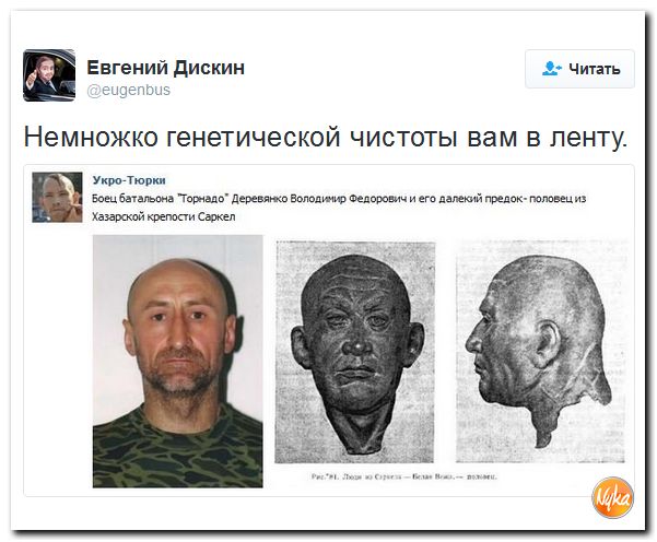 "Мыздобулы" в картинках. Смешных и не очень... 25-11-2016 "Мыздобулы" в картинках. Смешных и не очень... 25-11-2016