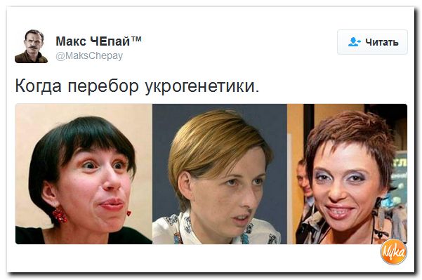 "Мыздобулы" в картинках. Смешных и не очень... 25-11-2016 "Мыздобулы" в картинках. Смешных и не очень... 25-11-2016