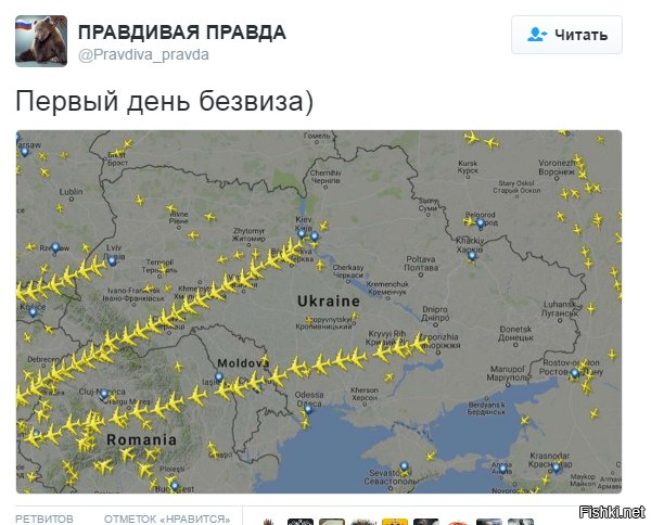 "Мыздобулы" в картинках. Смешных и не очень... 25-11-2016 "Мыздобулы" в картинках. Смешных и не очень... 25-11-2016