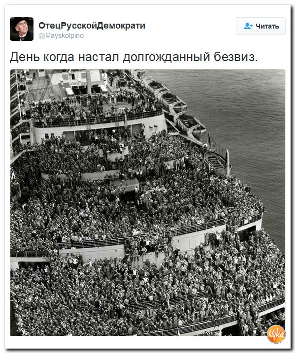 "Мыздобулы" в картинках. Смешных и не очень... 26-11-2016 "Мыздобулы" в картинках. Смешных и не очень... 26-11-2016