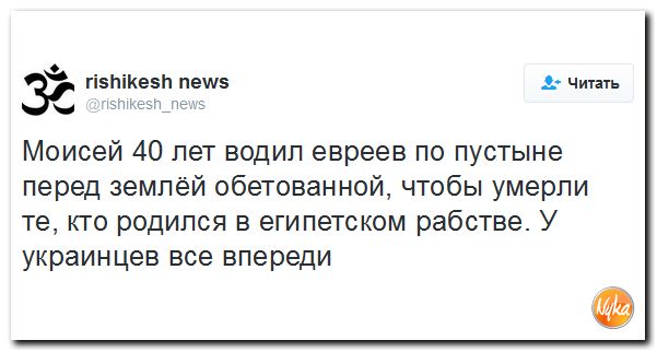 "Мыздобулы" в картинках. Смешных и не очень... 26-11-2016 "Мыздобулы" в картинках. Смешных и не очень... 26-11-2016