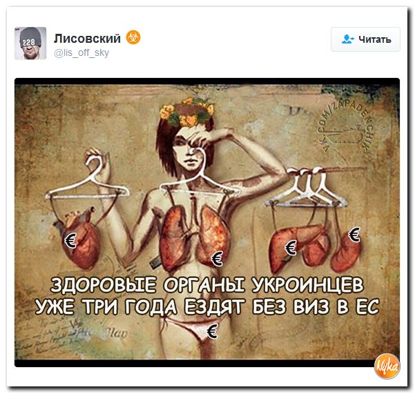 "Мыздобулы" в картинках. Смешных и не очень... 27-11-2016 "Мыздобулы" в картинках. Смешных и не очень... 27-11-2016