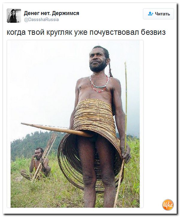 "Мыздобулы" в картинках. Смешных и не очень... 28-11-2016