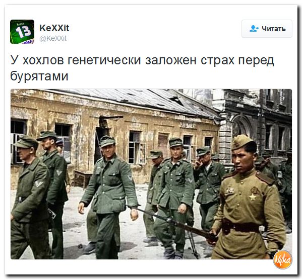 "Мыздобулы" в картинках. Смешных и не очень... 28-11-2016