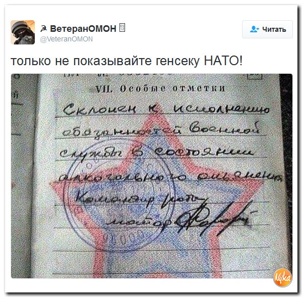 "Мыздобулы" в картинках. Смешных и не очень... 28-11-2016