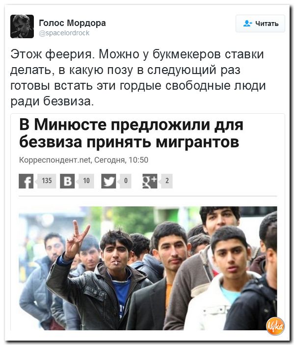 "Мыздобулы" в картинках. Смешных и не очень... 29-11-2016 "Мыздобулы" в картинках. Смешных и не очень... 29-11-2016