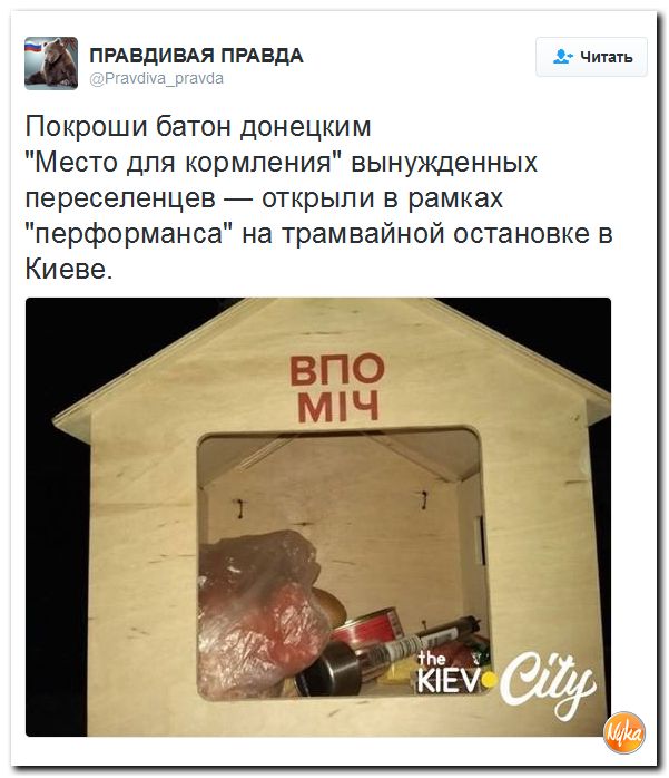 "Мыздобулы" в картинках. Смешных и не очень... 29-11-2016 "Мыздобулы" в картинках. Смешных и не очень... 29-11-2016