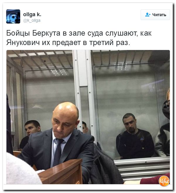 "Мыздобулы" в картинках. Смешных и не очень... 29-11-2016 "Мыздобулы" в картинках. Смешных и не очень... 29-11-2016