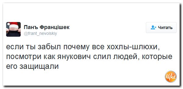 "Мыздобулы" в картинках. Смешных и не очень... 29-11-2016 "Мыздобулы" в картинках. Смешных и не очень... 29-11-2016
