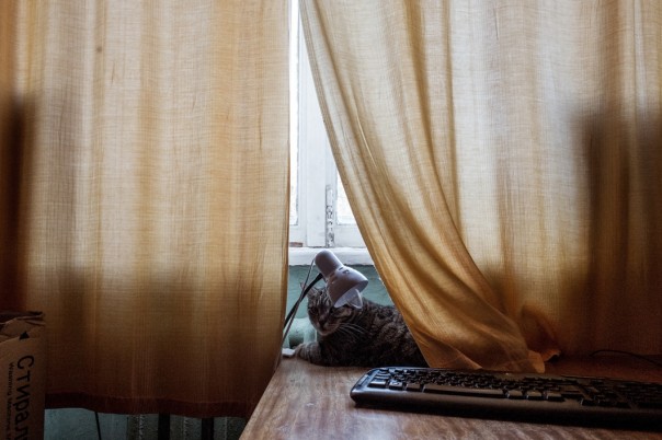 Бездомный полк.