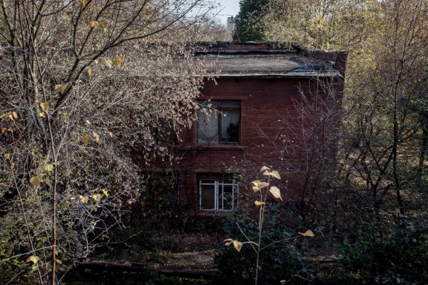 Бездомный полк.