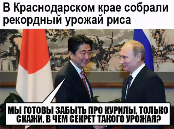 "Мыздобулы" в картинках. Смешных и не очень... 1-11-2016 "Мыздобулы" в картинках. Смешных и не очень... 1-11-2016