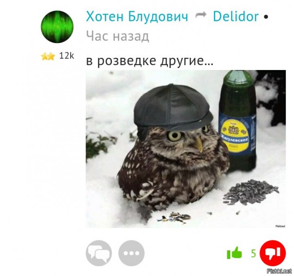 "Мыздобулы" в картинках. Смешных и не очень... 1-11-2016 "Мыздобулы" в картинках. Смешных и не очень... 1-11-2016