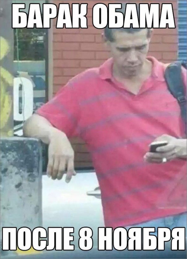 "Мыздобулы" в картинках. Смешных и не очень... 2-11-2016