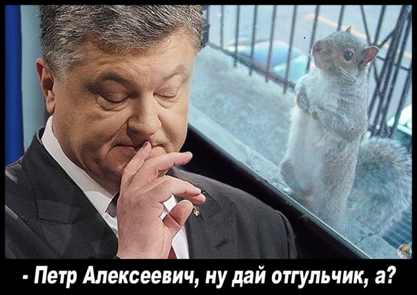 "Мыздобулы" в картинках. Смешных и не очень... 2-11-2016