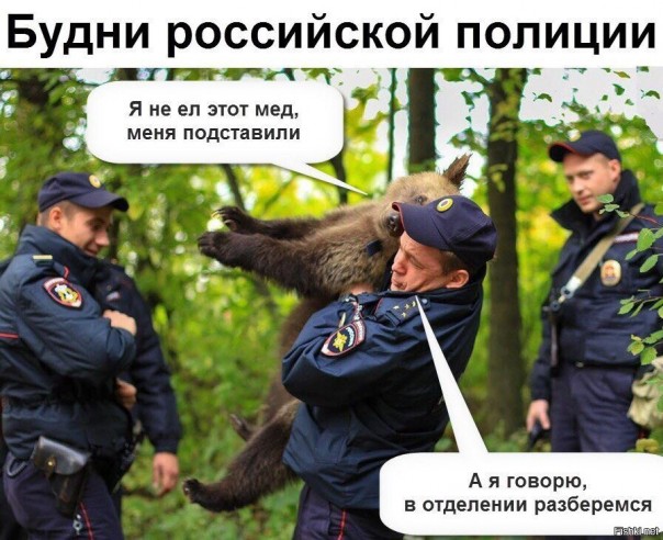 "Мыздобулы" в картинках. Смешных и не очень... 2-11-2016