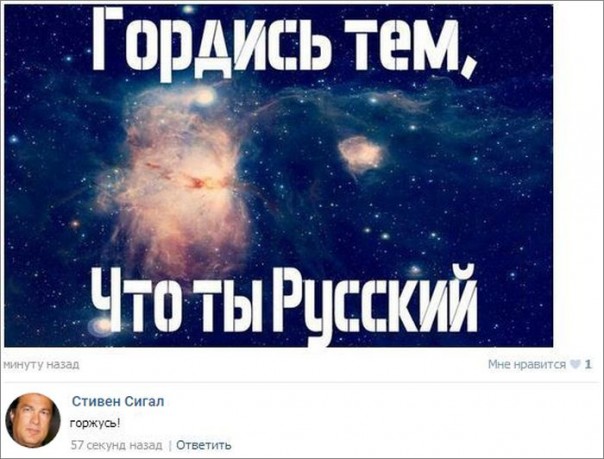 "Мыздобулы" в картинках. Смешных и не очень... 3-11-2016