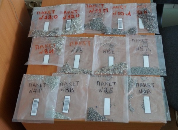 Россиянин пытался ввезти в Белоруссию более 9 кг алмазов под видом аквариумного гравия