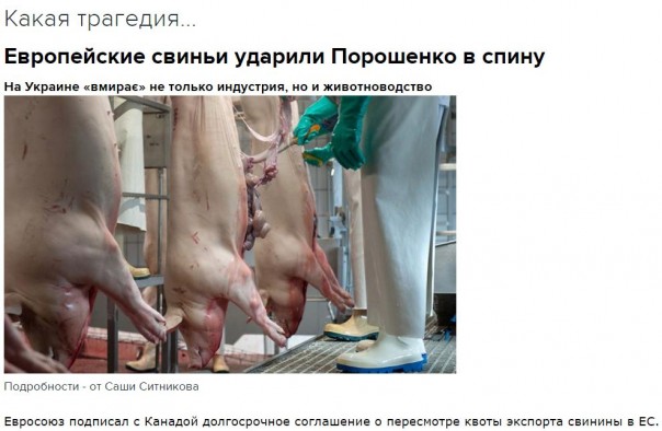 "Мыздобулы" в картинках. Смешных и не очень... 12-11-2016