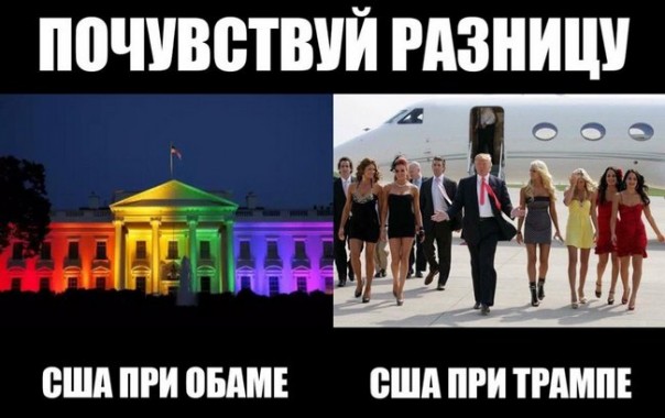 "Мыздобулы" в картинках. Смешных и не очень... 12-11-2016