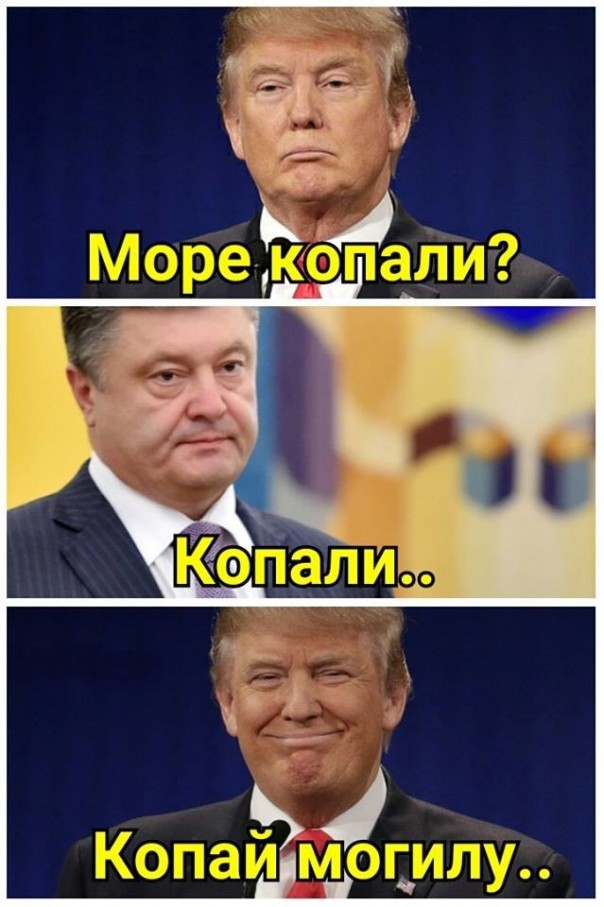 "Мыздобулы" в картинках. Смешных и не очень... 12-11-2016