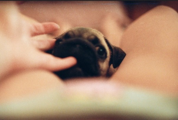 Обаяние второго размера. Анастасия Деева, человек и замминистра Обаяние второго размера. Анастасия Деева, человек и замминистра