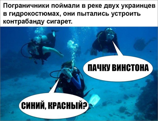 "Мыздобулы" в картинках. Смешных и не очень... 13-11-2016 "Мыздобулы" в картинках. Смешных и не очень... 13-11-2016