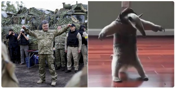 "Мыздобулы" в картинках. Смешных и не очень... 13-11-2016 "Мыздобулы" в картинках. Смешных и не очень... 13-11-2016