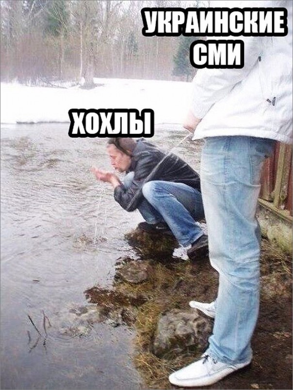 "Мыздобулы" в картинках. Смешных и не очень... 13-11-2016 "Мыздобулы" в картинках. Смешных и не очень... 13-11-2016