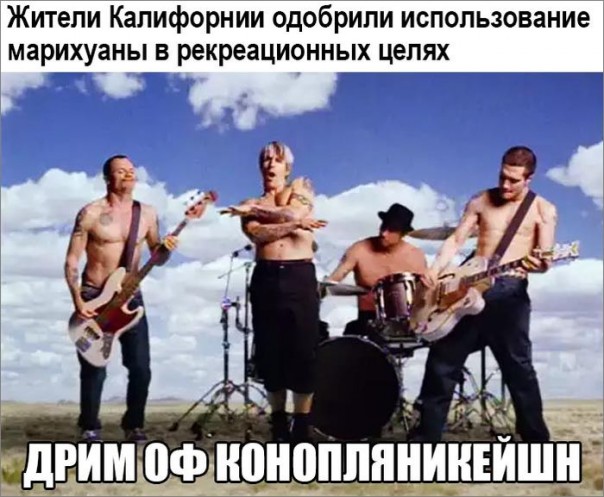 "Мыздобулы" в картинках. Смешных и не очень... 13-11-2016 "Мыздобулы" в картинках. Смешных и не очень... 13-11-2016