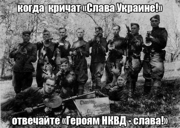 "Мыздобулы" в картинках. Смешных и не очень... 14-11-2016 "Мыздобулы" в картинках. Смешных и не очень... 14-11-2016