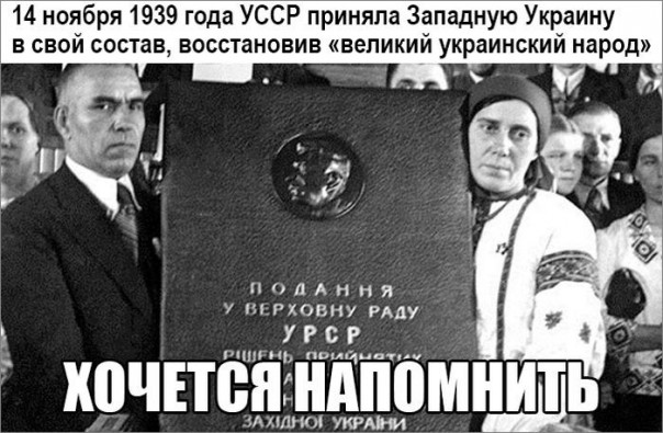 "Мыздобулы" в картинках. Смешных и не очень... 14-11-2016 "Мыздобулы" в картинках. Смешных и не очень... 14-11-2016