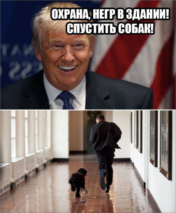 "Мыздобулы" в картинках. Смешных и не очень... 14-11-2016 "Мыздобулы" в картинках. Смешных и не очень... 14-11-2016