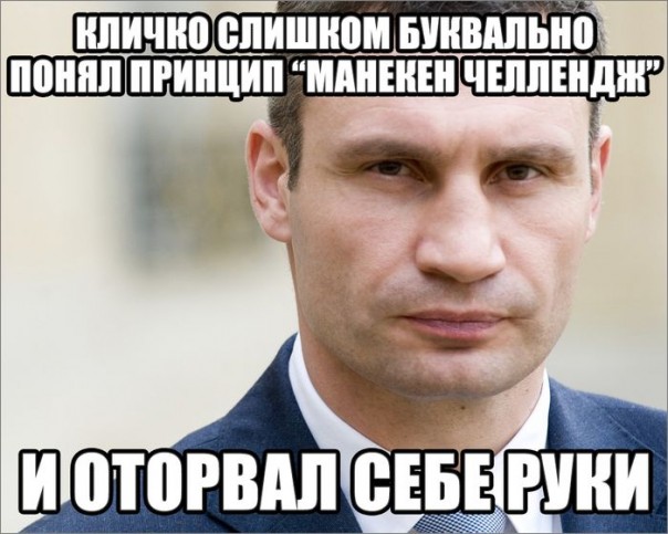 "Мыздобулы" в картинках. Смешных и не очень... 17-11-2016 "Мыздобулы" в картинках. Смешных и не очень... 17-11-2016