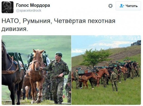 "Мыздобулы" в картинках. Смешных и не очень... 17-11-2016 "Мыздобулы" в картинках. Смешных и не очень... 17-11-2016