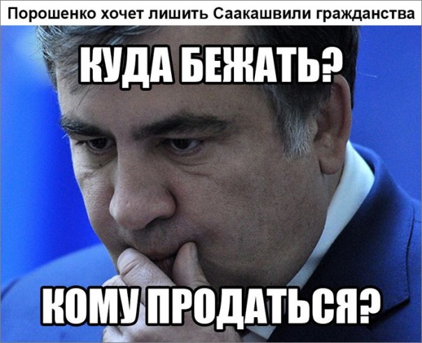 "Мыздобулы" в картинках. Смешных и не очень... 17-11-2016 "Мыздобулы" в картинках. Смешных и не очень... 17-11-2016