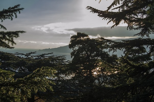 Последние краски осени. Крым.