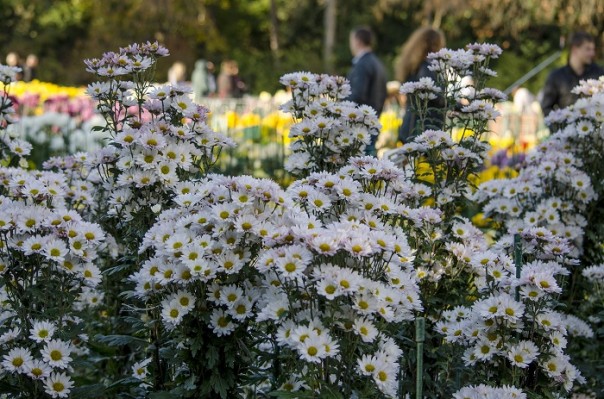 Последние краски осени. Крым.